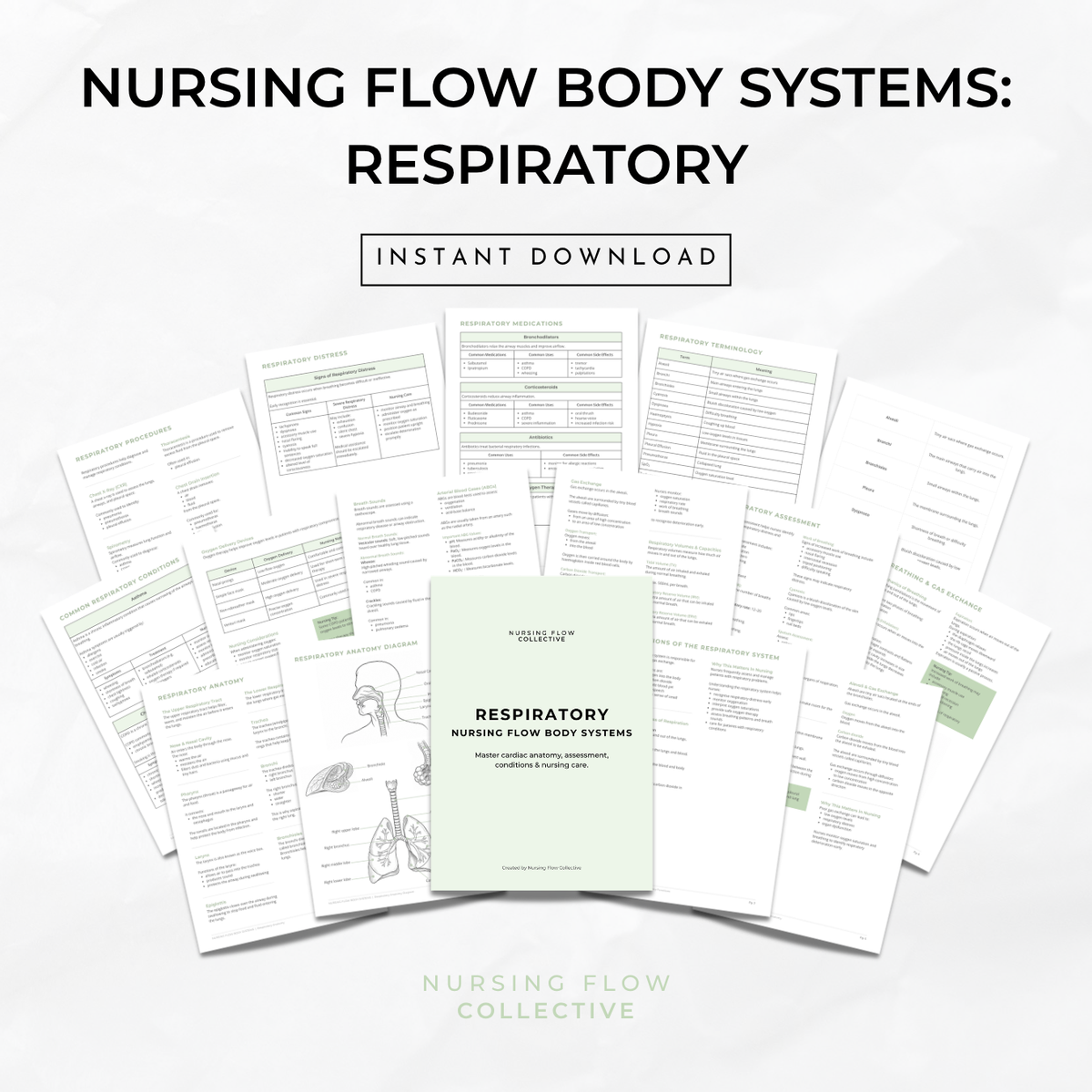 Nursing Flow Body Systems: Respiratory