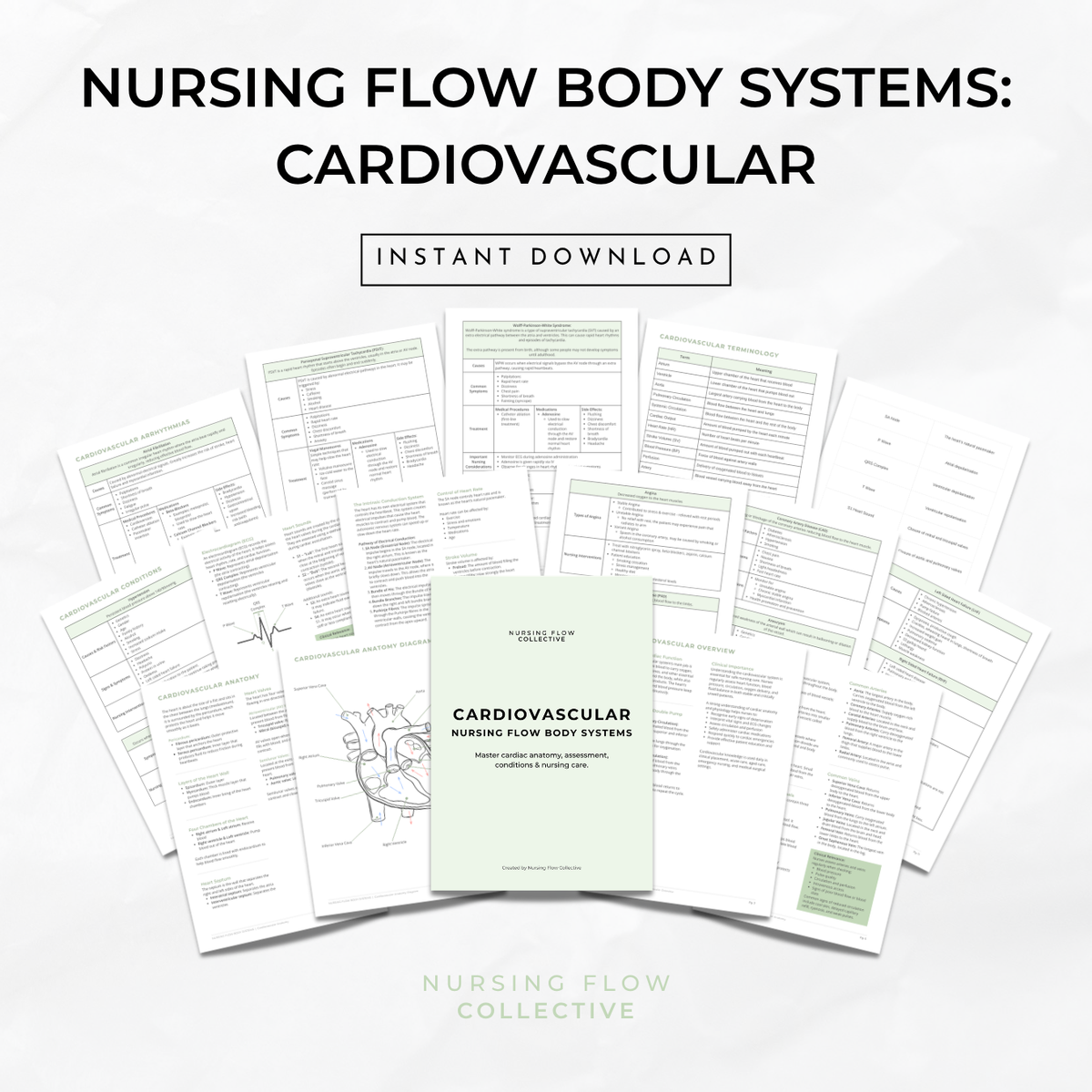 Nursing Flow Body Systems: Cardiovascular
