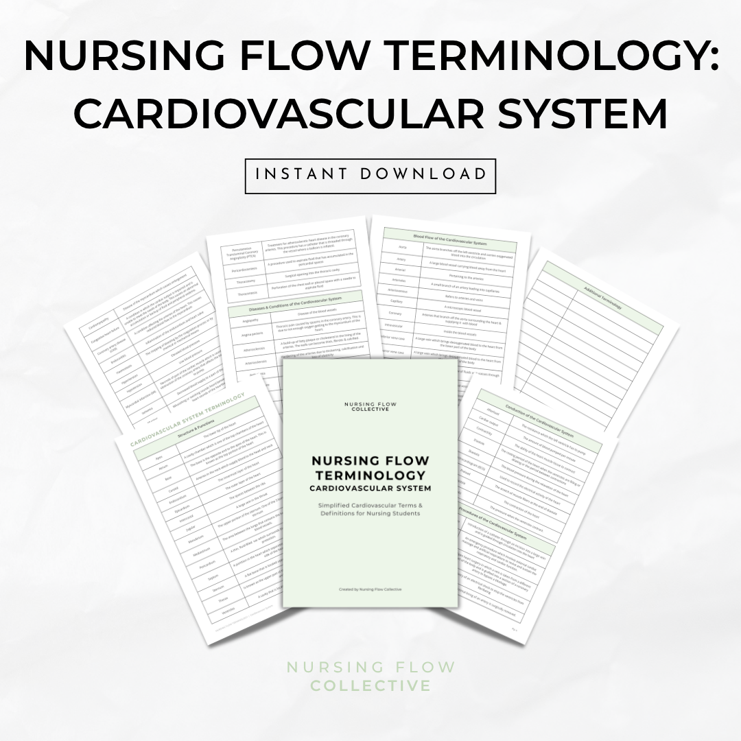 Nursing Flow Terminology: Cardiovascular System